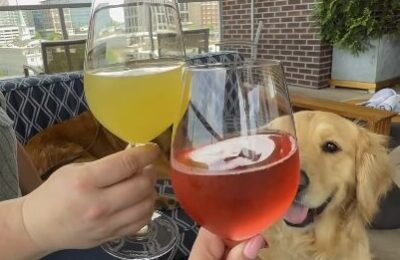 Yappy Hour at UP on the Roof in Greenville, SC