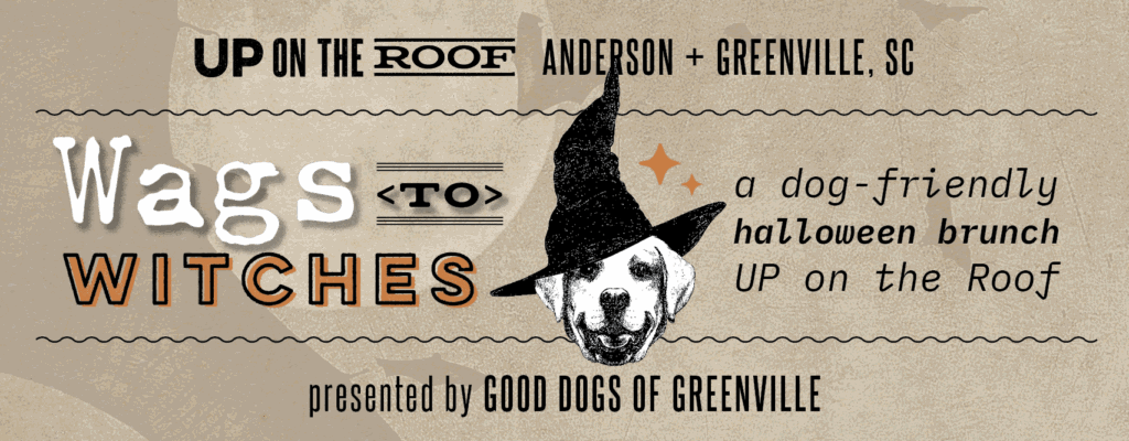 Wags to Witches Cover Photo